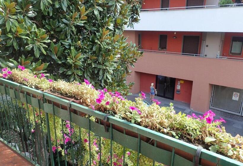 Camera Tripla Economy, Brivio