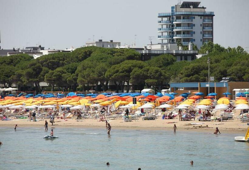 标准间带阳台, Desiree