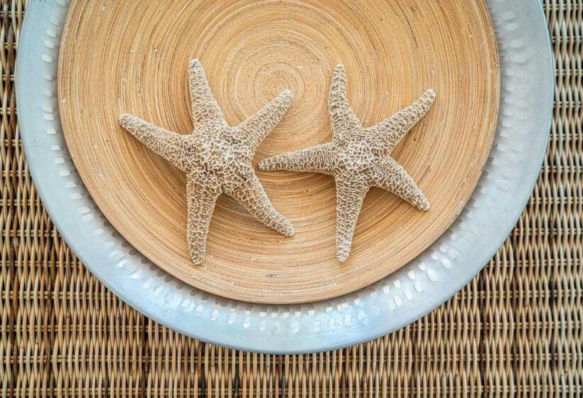 标准间带阳台, Horizonte