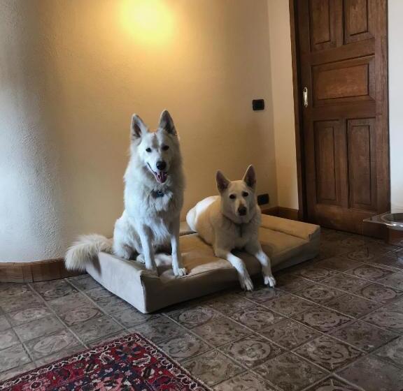 جناح عائلي, Lyshaus