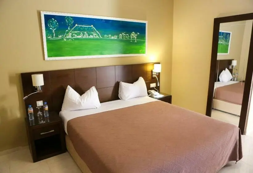 اتاق استاندارد یک تخته با بالکن, Mauricenter Nouakchott