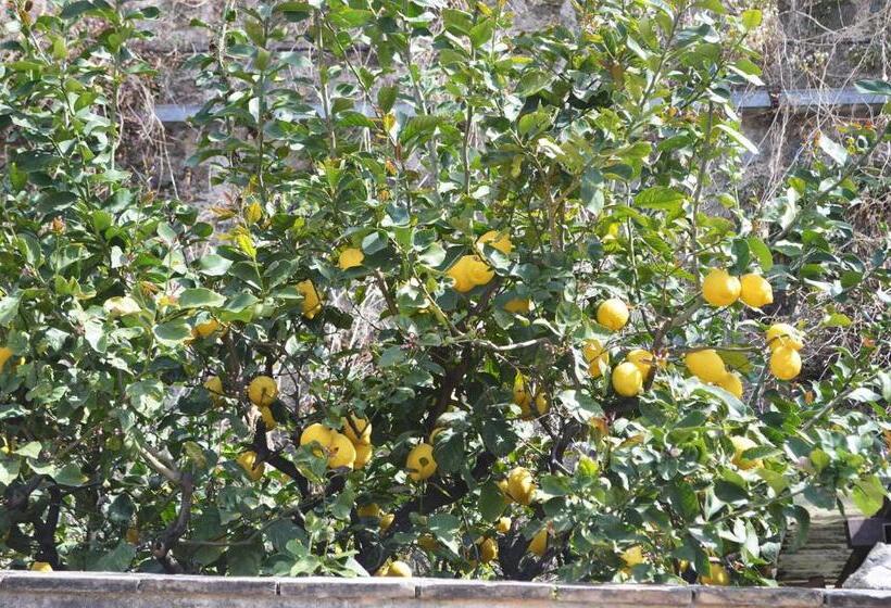 基本三人间, Palazzo Krataiis