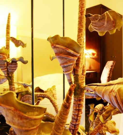 スタンダードルーム, Sangallo