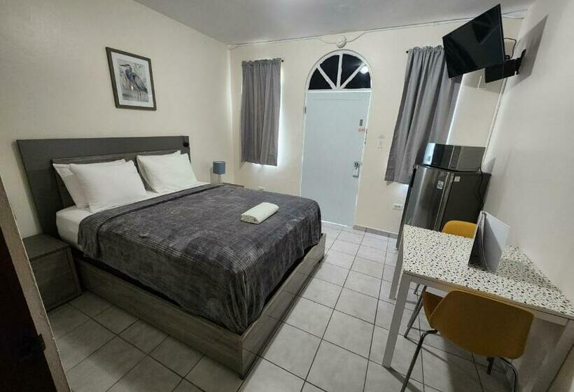 Standard Værelse Tilpasset til Handicappede, The Village Inn