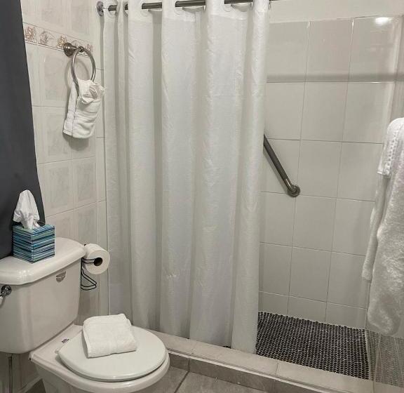 Budget Værelse, The Village Inn