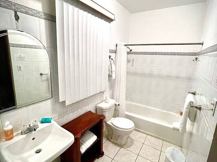 Budget Værelse, The Village Inn