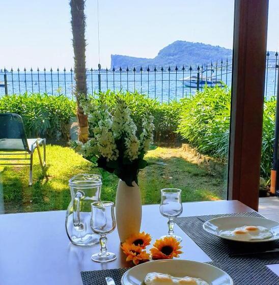 Студия Стандарт, Residence Villalsole