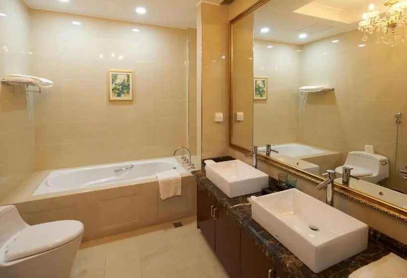 سوییت جونیور لوکس, Soluxe Hotel Niamey