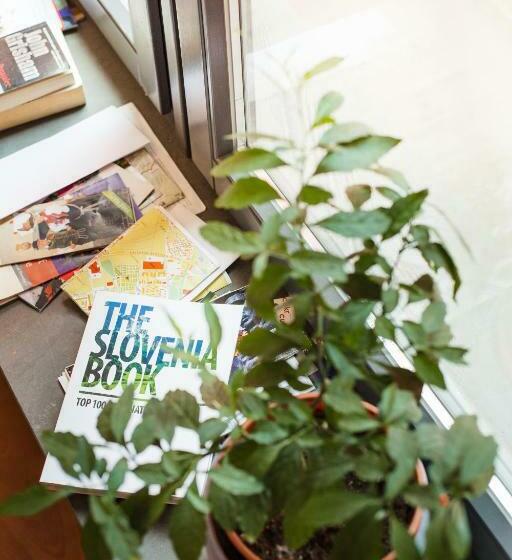 Łóżko we Wspólnym Pokoju, Cukrarna Guest Accommodation