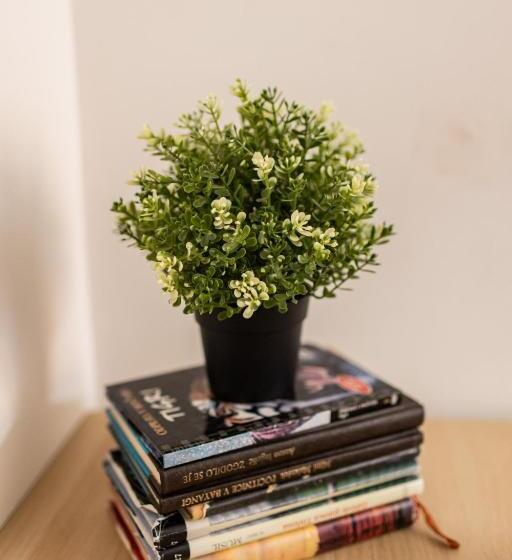 اتاق خانوادگی با سرویس بهداشتی مشترک, Cukrarna Guest Accommodation