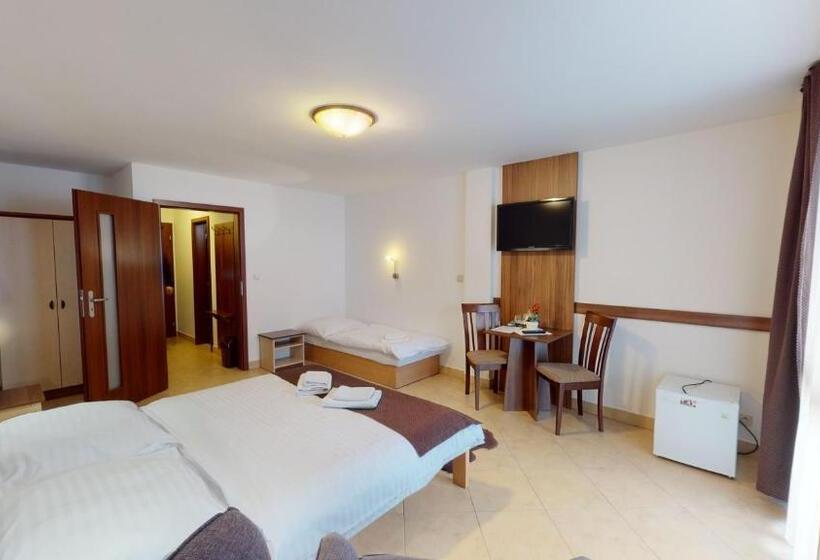 Номер Стандарт Трехместный, Garni Hotel Fatra