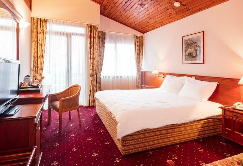 اتاق استاندارد با دسترسی به اسپا, Bistra, Resort Mavrovo