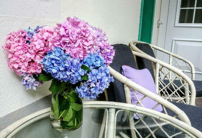 اتاق خانوادگی, Garni Paleta