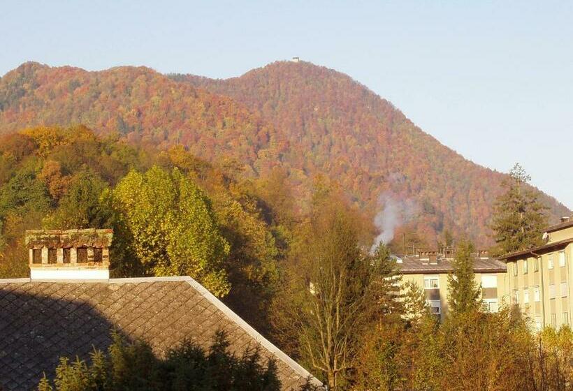 اتاق استاندارد, Garni Paleta