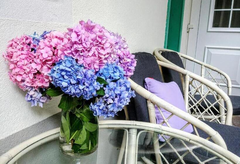 اتاق استاندارد, Garni Paleta