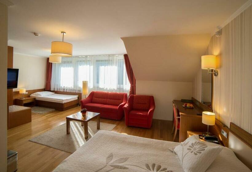 اتاق استاندارد سه نفره, Slatina Superior