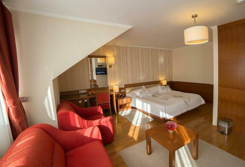 اتاق استاندارد سه نفره, Slatina Superior