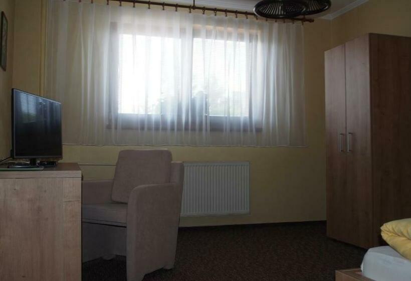 스탠다드 싱글 룸, Slnecny Dvor