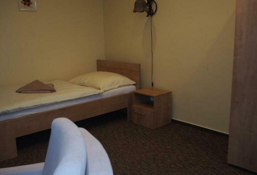 스탠다드 싱글 룸, Slnecny Dvor