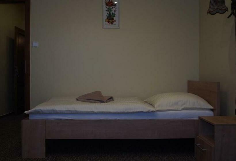 스탠다드 싱글 룸, Slnecny Dvor