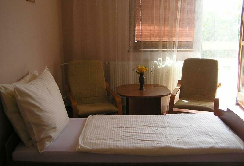스탠다드 싱글 룸, Slnecny Dvor
