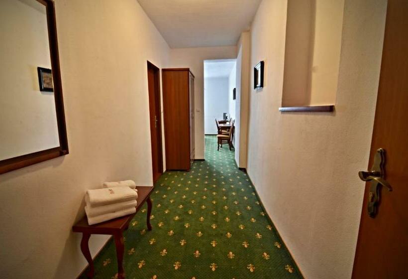 标准三人间, Svatojansky Kastiel