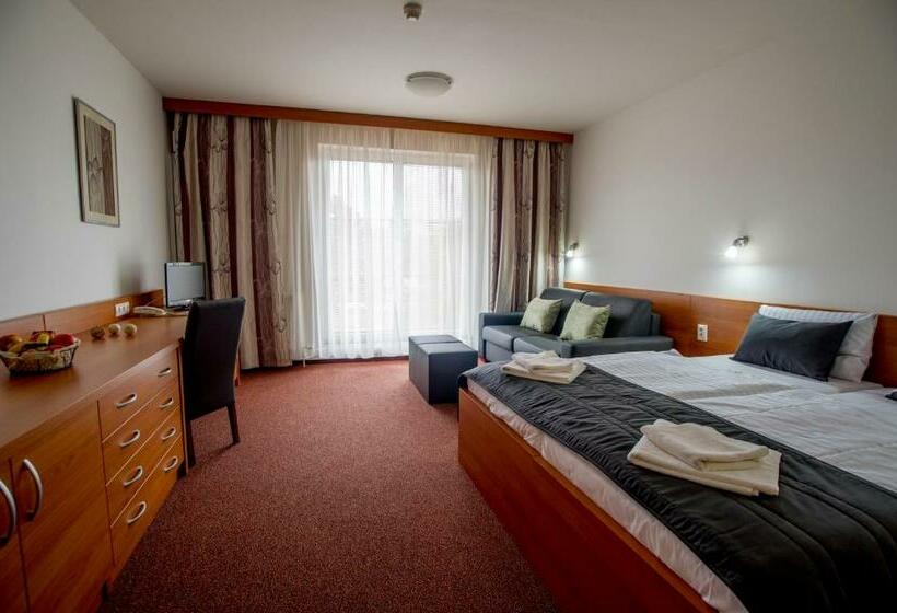 Четырехместный Номер Стандарт, Wellness Hotel Thermal