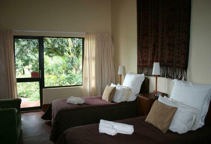 غرفة قياسية مطلّة علي الحديقة, Ambience Inn