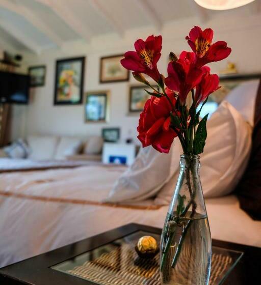 סוויטה, Art Gallery Guest House