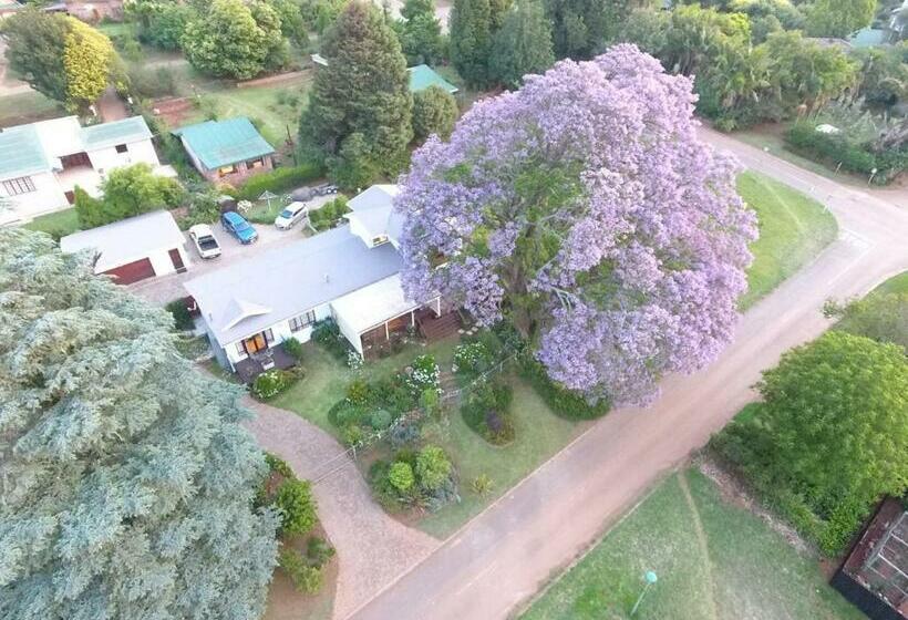 סוויטה, Art Gallery Guest House