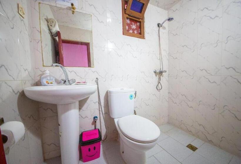 标准单人间, Maison Adam