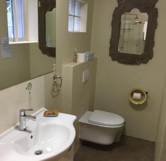 غرفة ديلوكس فردية, Skinkikofi Guest House