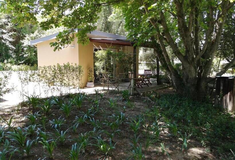 Шале 1 Спальня, Waterford Manor