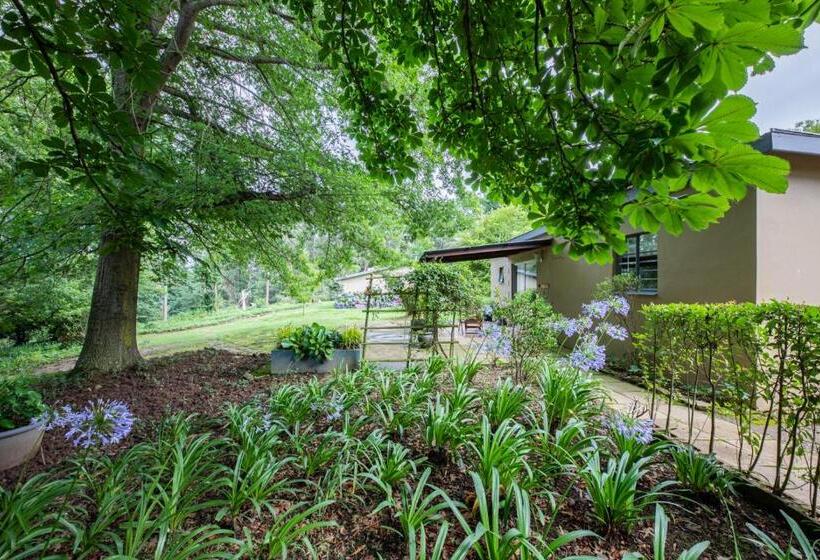 Студио Стандарт Вид на Сад, Waterford Manor