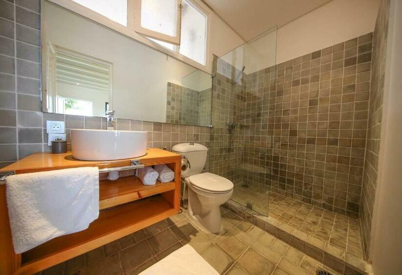 غرفة قياسية, L'hippocampe