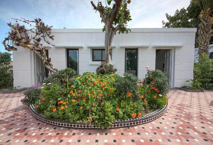 غرفة قياسية, L'hippocampe