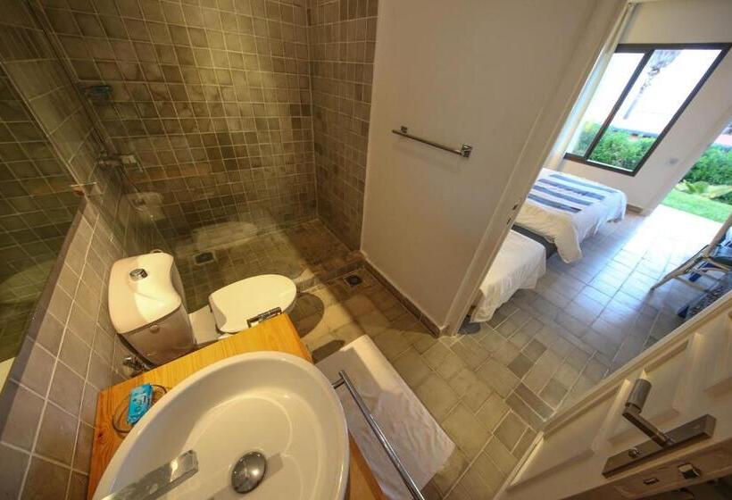 غرفة قياسية ثلاثية, L'hippocampe