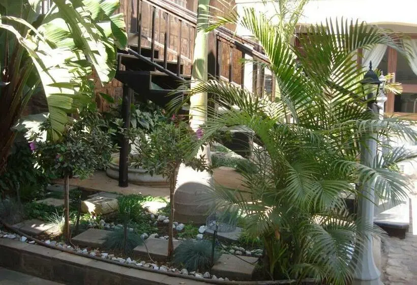 デラックスルーム, The Royal Palm B&b