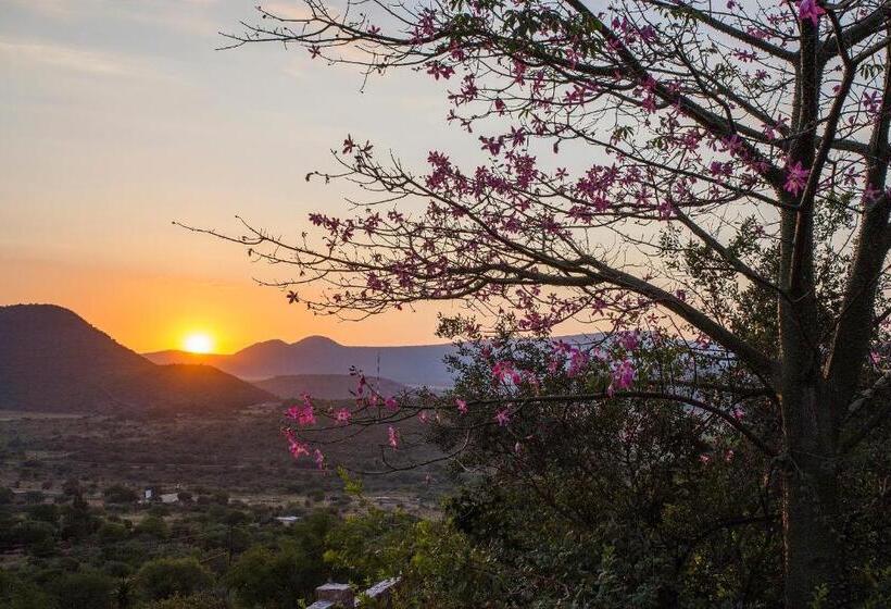 חדר סטנדרט, The Royal Palm B&b