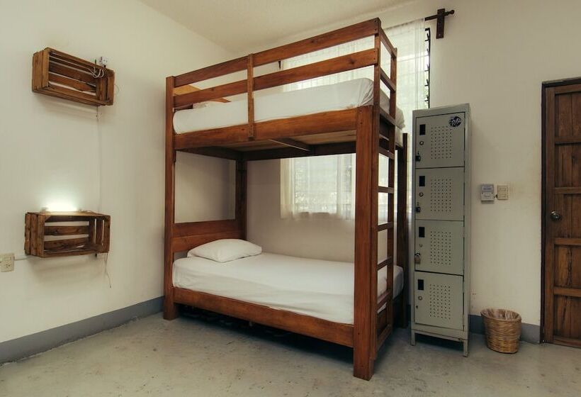 ルームシェアのワンベッド, Casa Losodeli & Coworking Adults Only