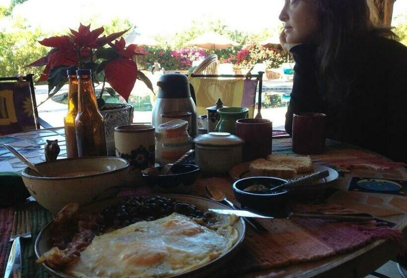 غرفة قياسية سرير كينج, Serendipity