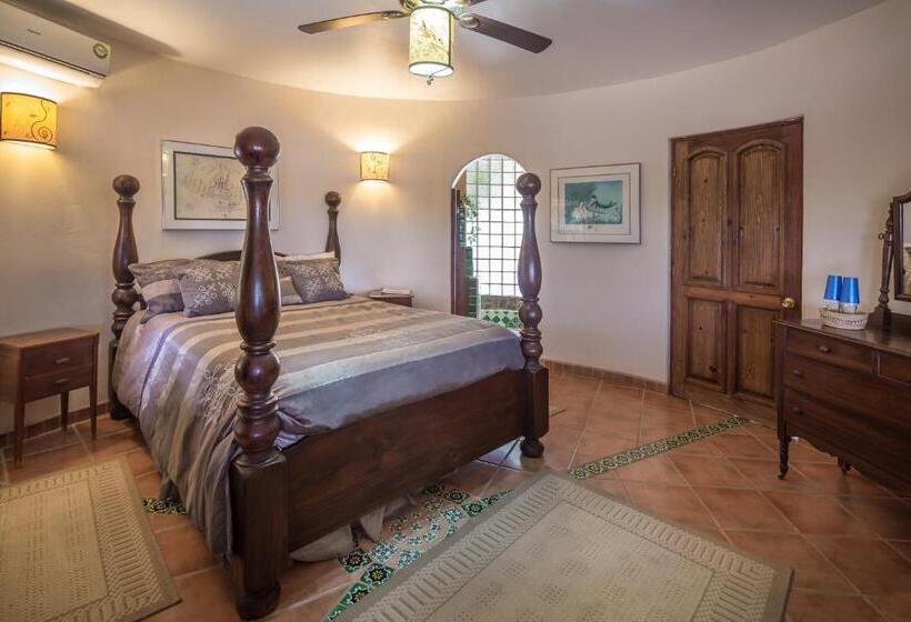 غرفة قياسية, Serendipity