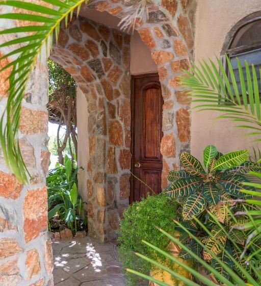 غرفة قياسية, Serendipity