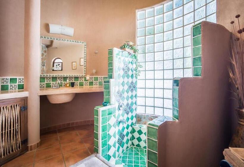 غرفة قياسية, Serendipity