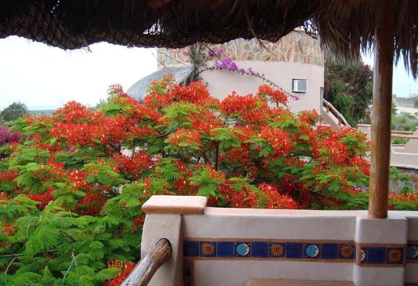 غرفة قياسية مطلّة علي البحر, Serendipity