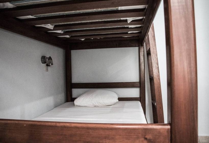 تختخواب در اتاق مشترک, Hostel Viatger Inn