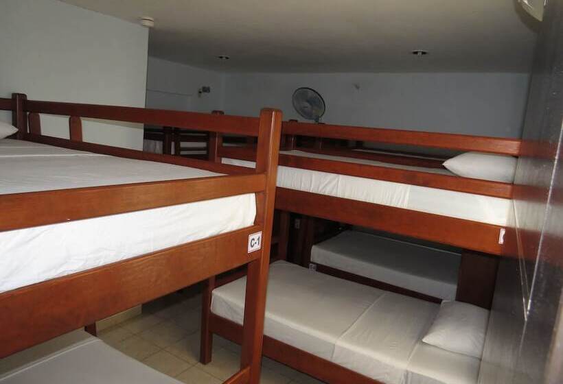 تختخواب در اتاق مشترک, Hostel Viatger Inn