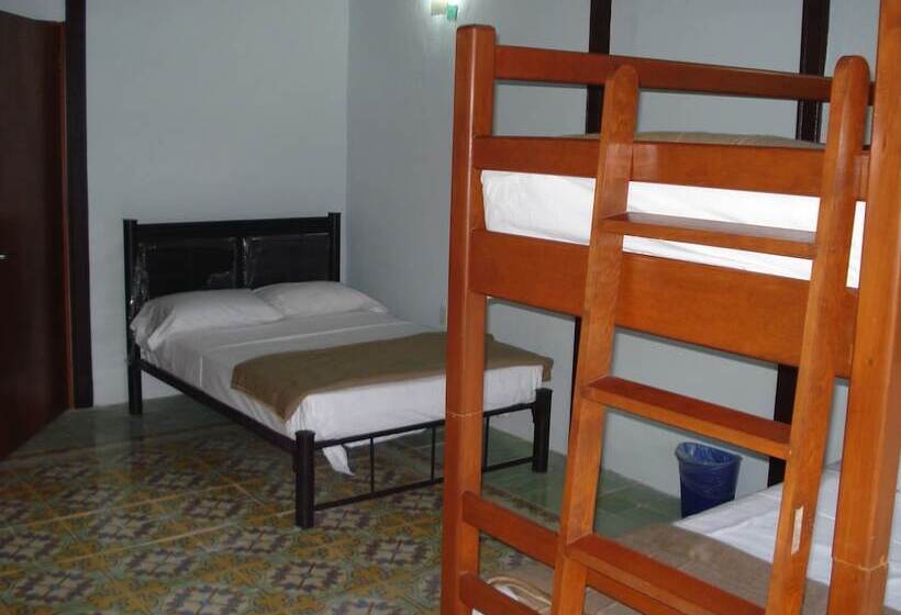 اتاق خانوادگی با سرویس بهداشتی مشترک, Hostel Viatger Inn