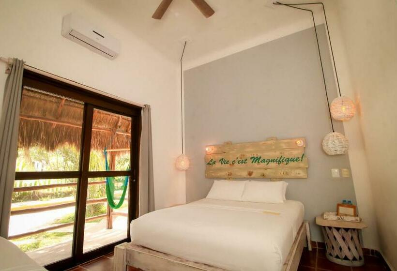 Номер Superior, 40 Cañones