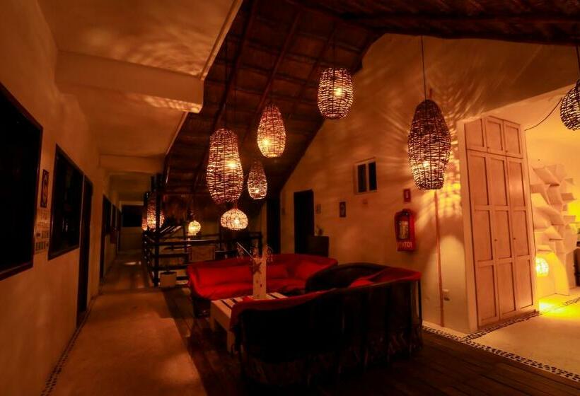 Номер Superior, 40 Cañones